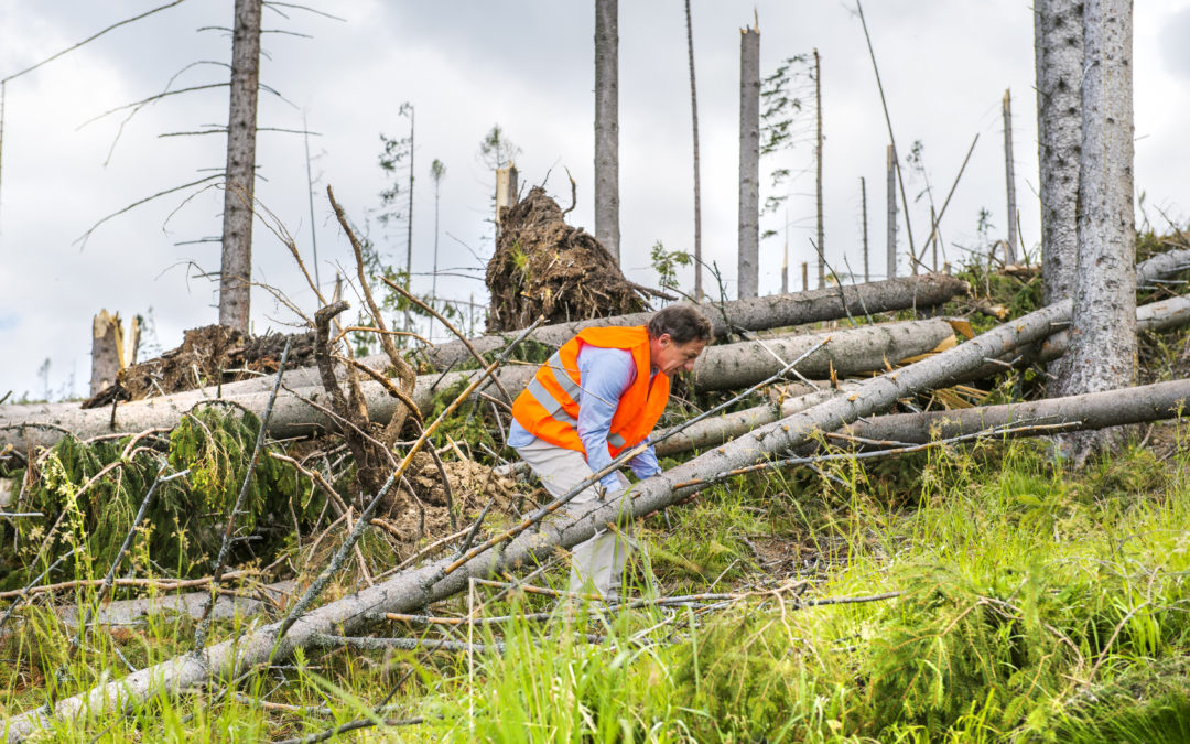 How to Hurricane-Proof Your Home’s Electrical