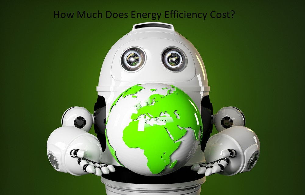 How Much Does Energy Efficiency Cost?