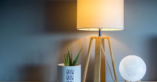 Table lamp with a warm glow, potted plant labeled "GROW GROW GROW," and a decorative moon lamp, set against a neutral wall, symbolizing home comfort and lighting solutions.