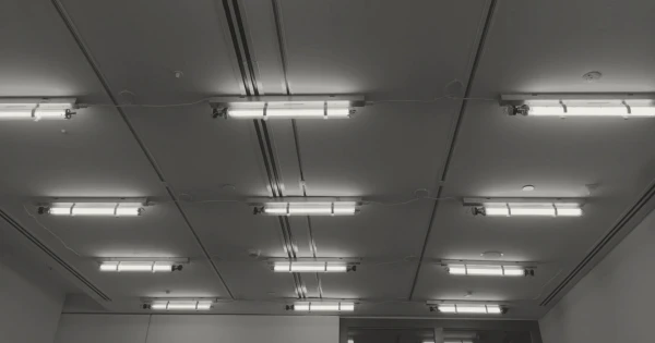 Ceiling lights in a commercial space, showcasing fluorescent fixtures, relevant to discussions on generator installation for electrical reliability.