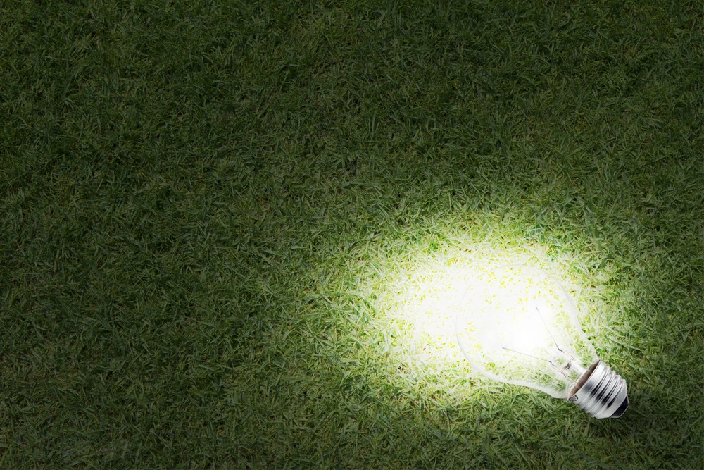 Light bulb glowing on grass, symbolizing outdoor commercial lighting and its importance for security and first impressions.